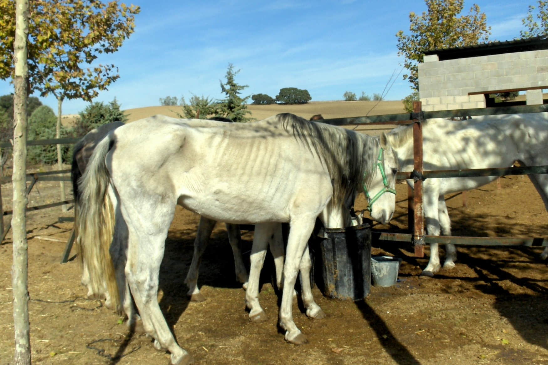 La Granja Escuela El Botero photo 1