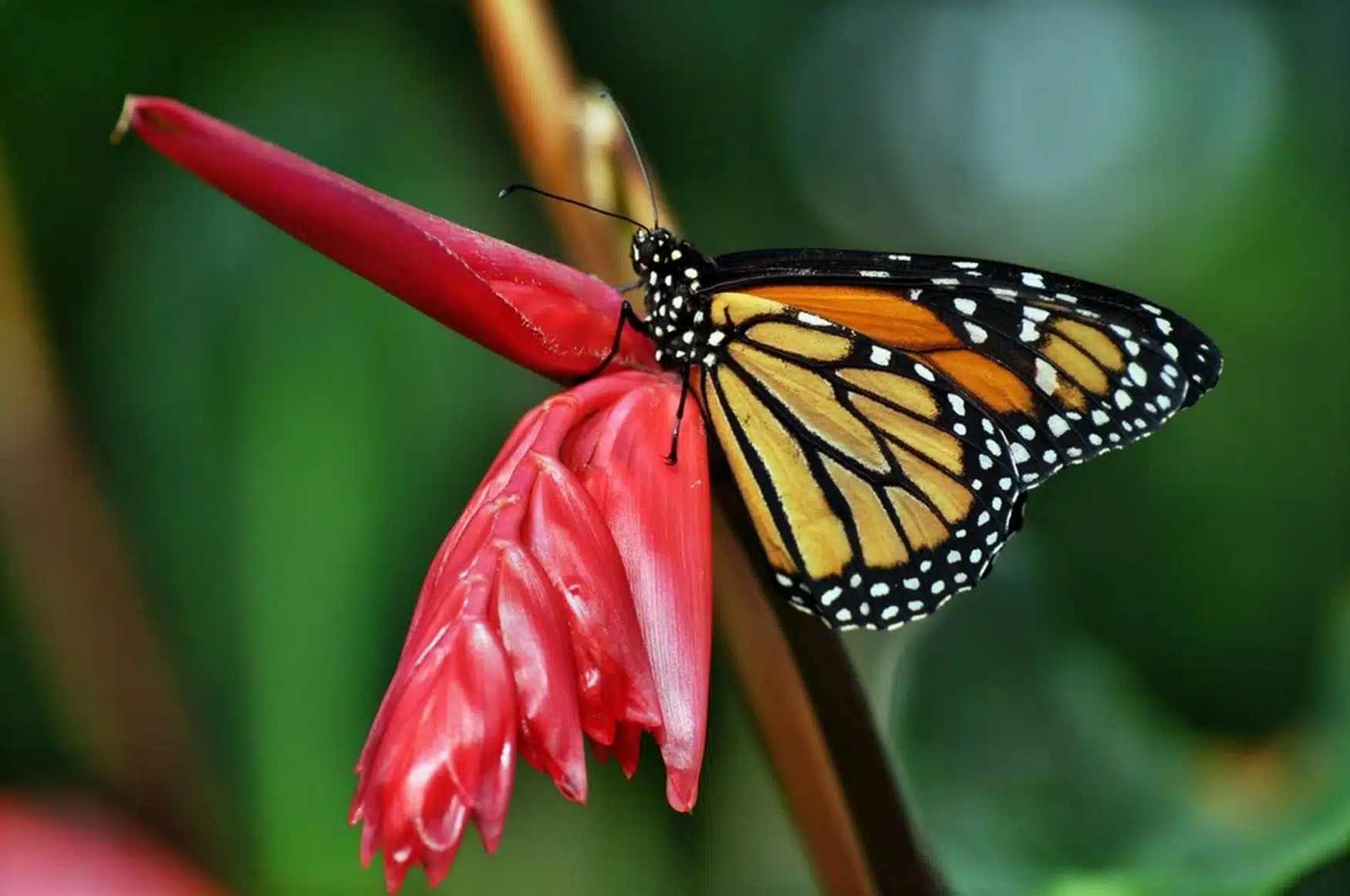 ZOOM Erlebniswelt Gelsenkirchen Zoo photo 1