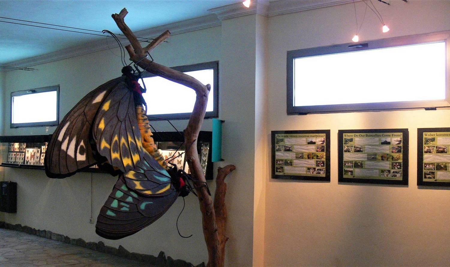 Butterfly Park of Drago