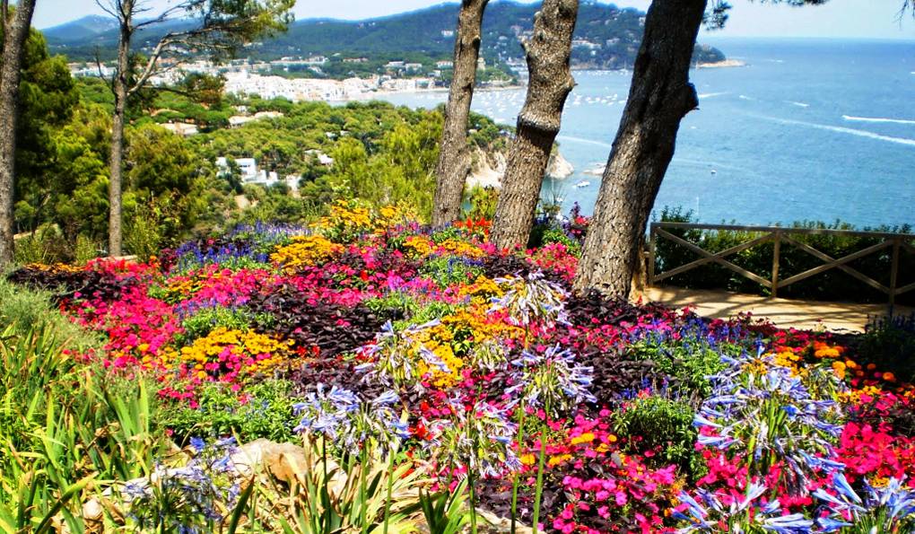 Cap Roig Botanical Garden photo 1