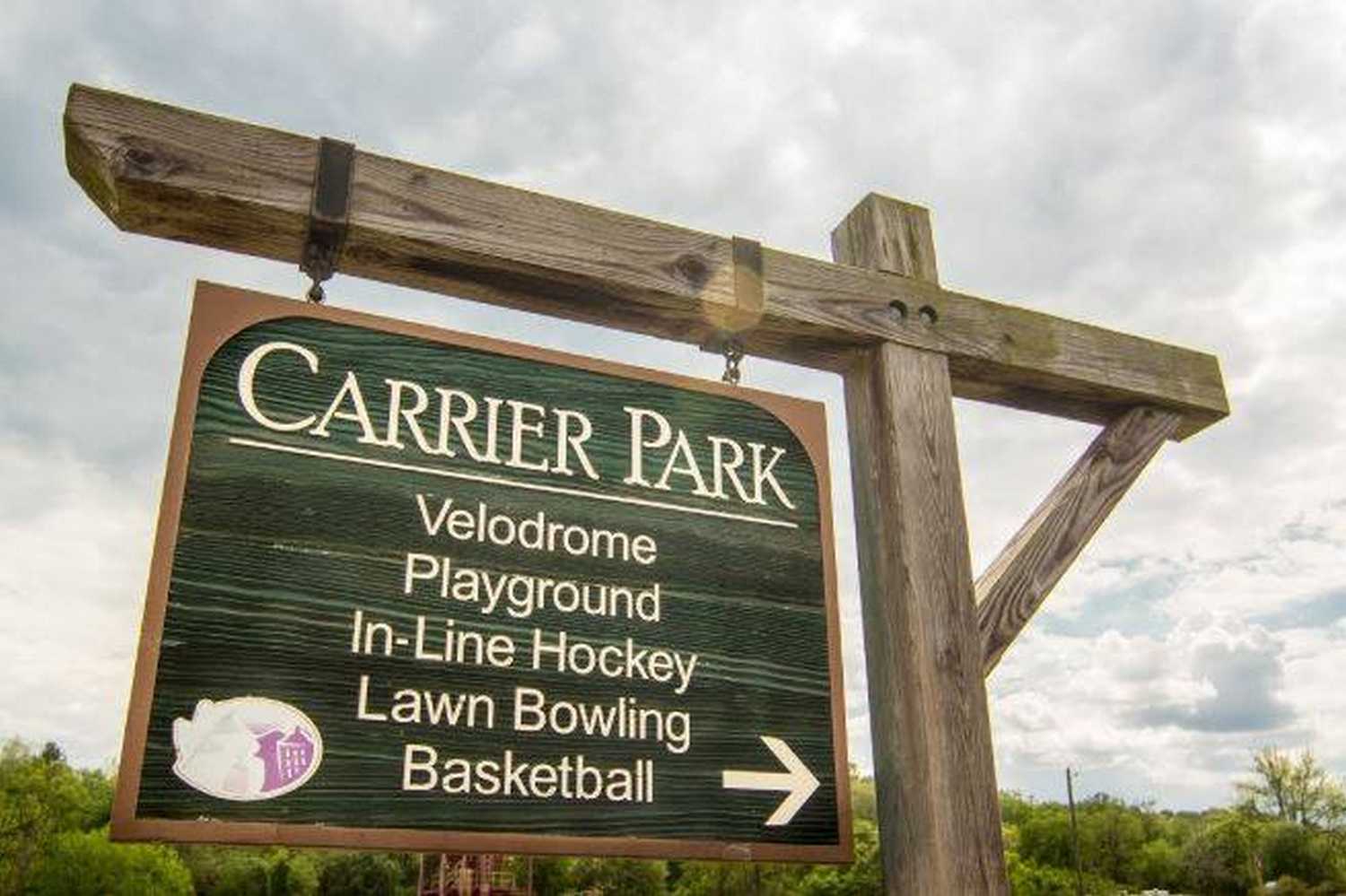 Carrier Park photo 1