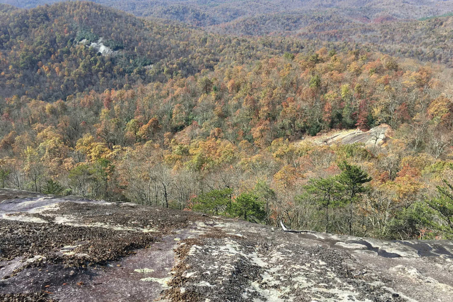 Tropical Gardens Mini Golf photo 1