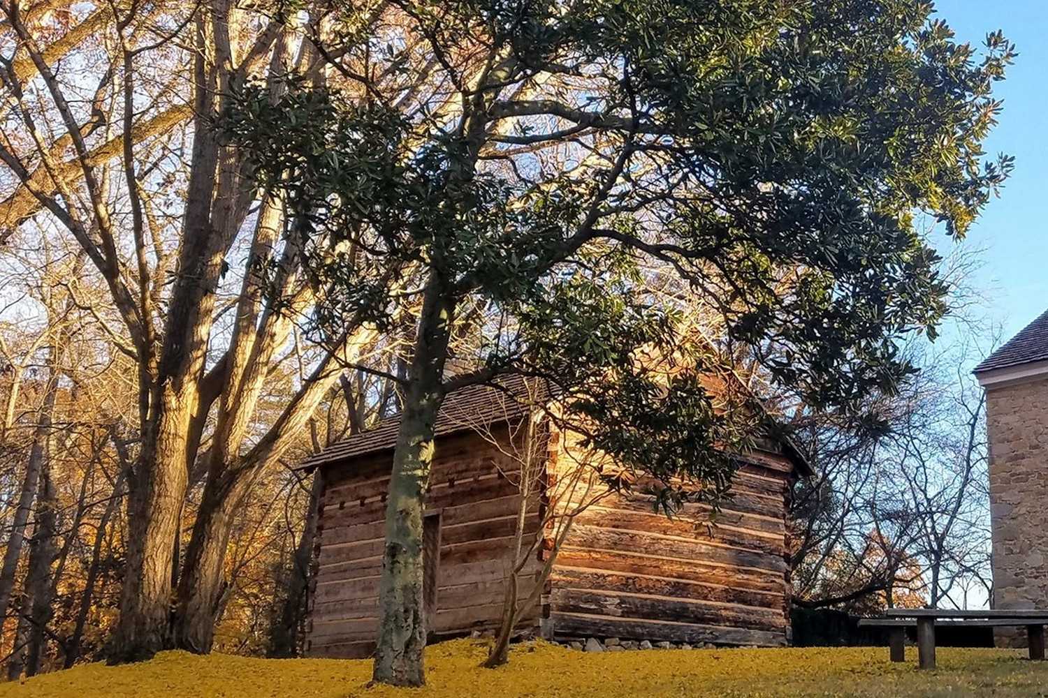 Charlotte Museum of History photo 1