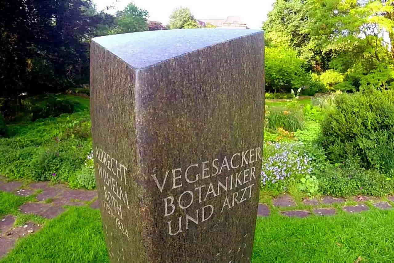 City Garden Vegesack photo 1