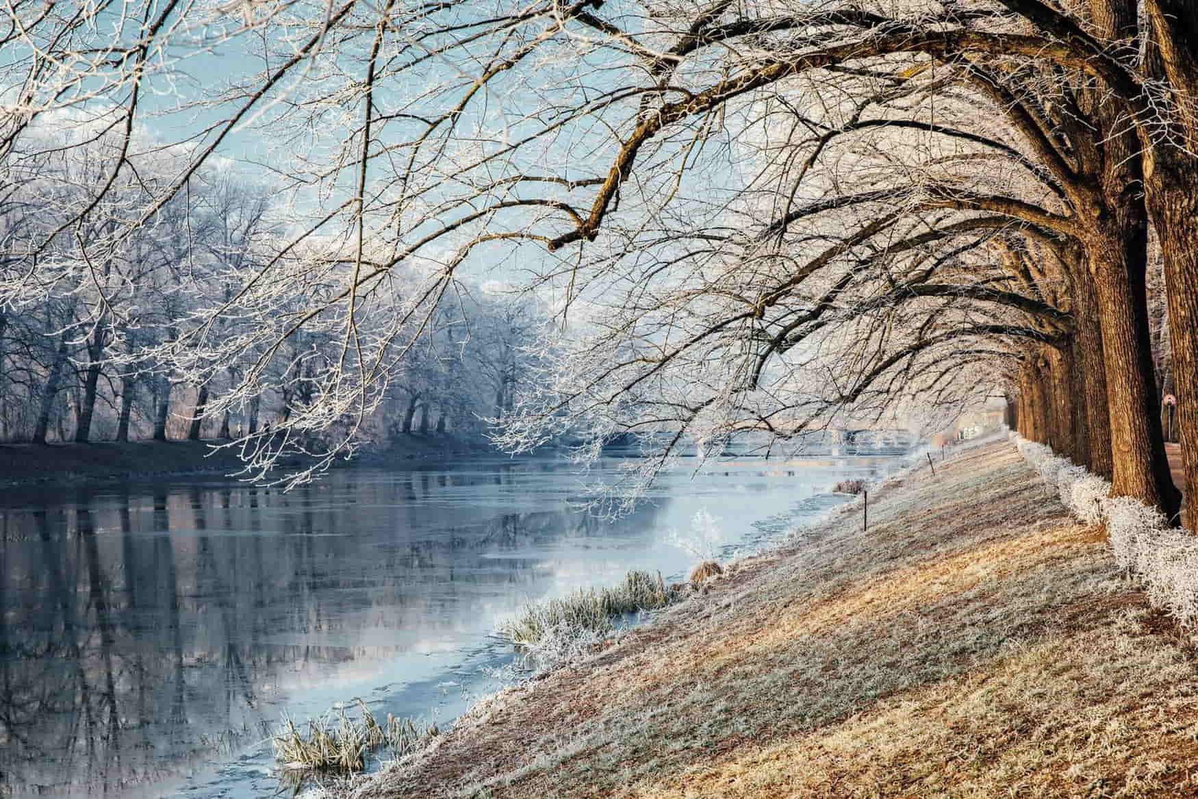 Clara-Zetkin Park photo 1