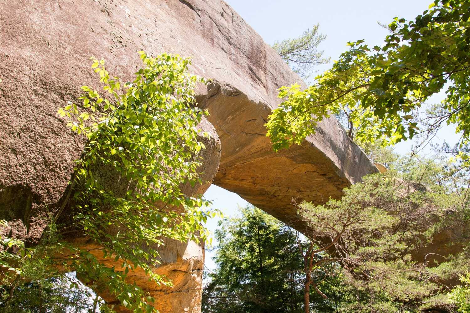 Wheels Through Time Motorcycle Museum photo 1