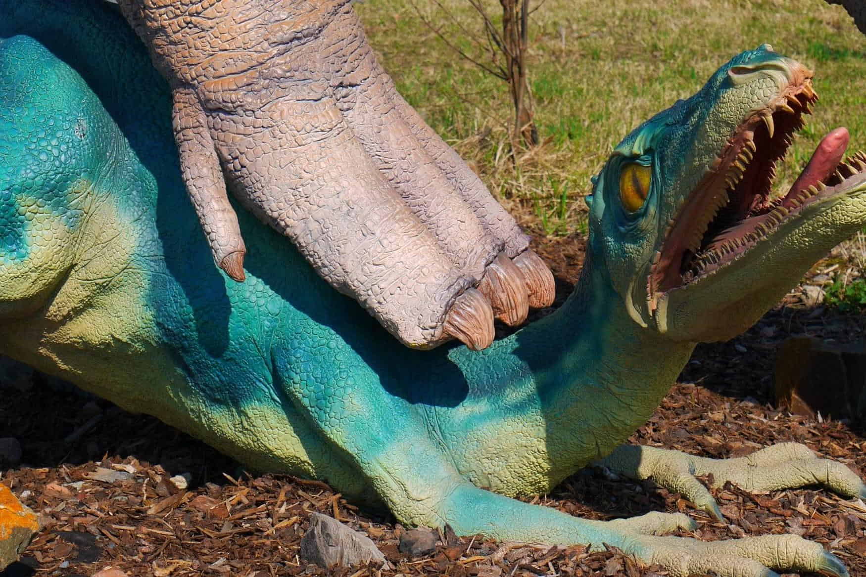 Sikland Amusement Park photo 1