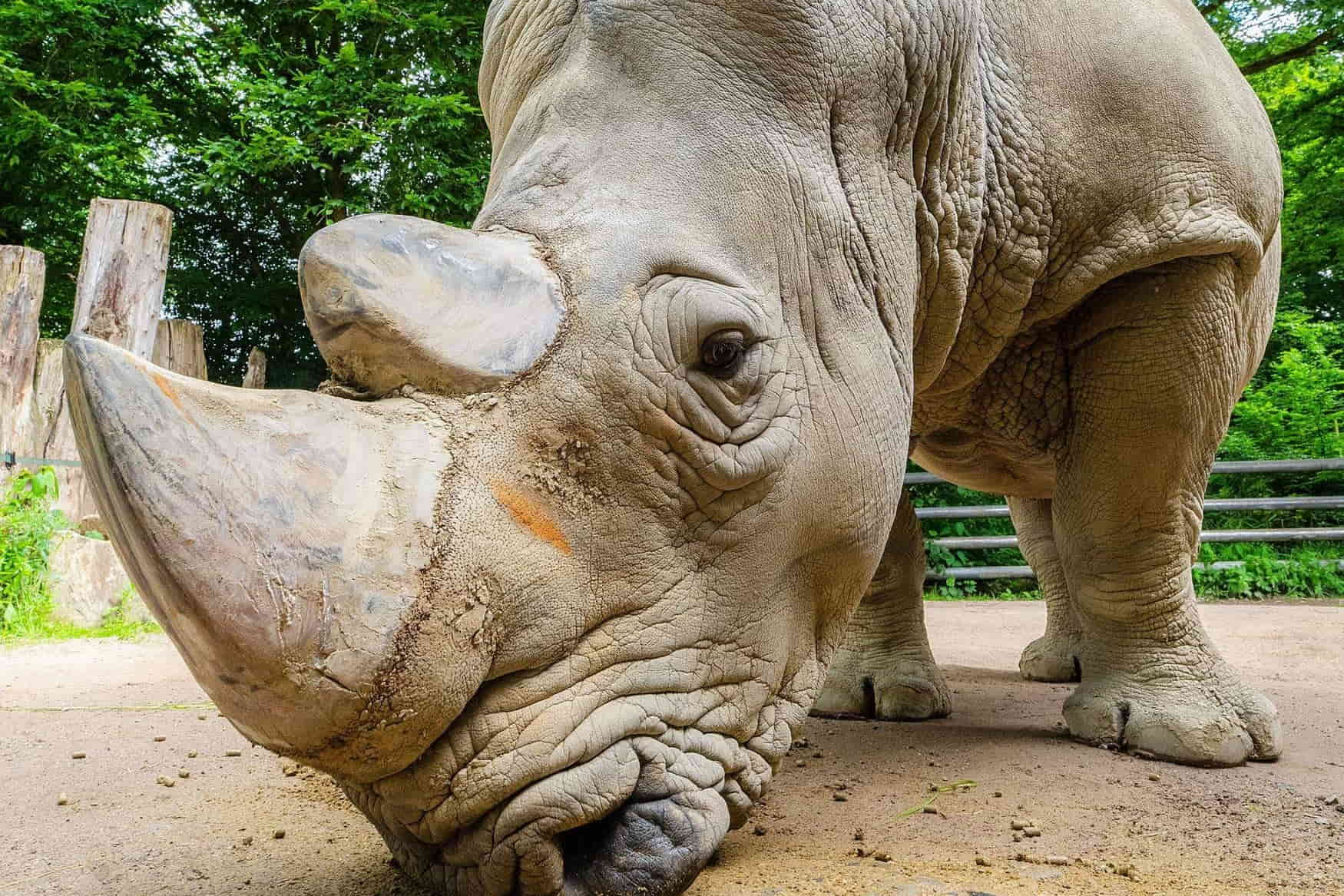 Dortmund Zoo photo 1
