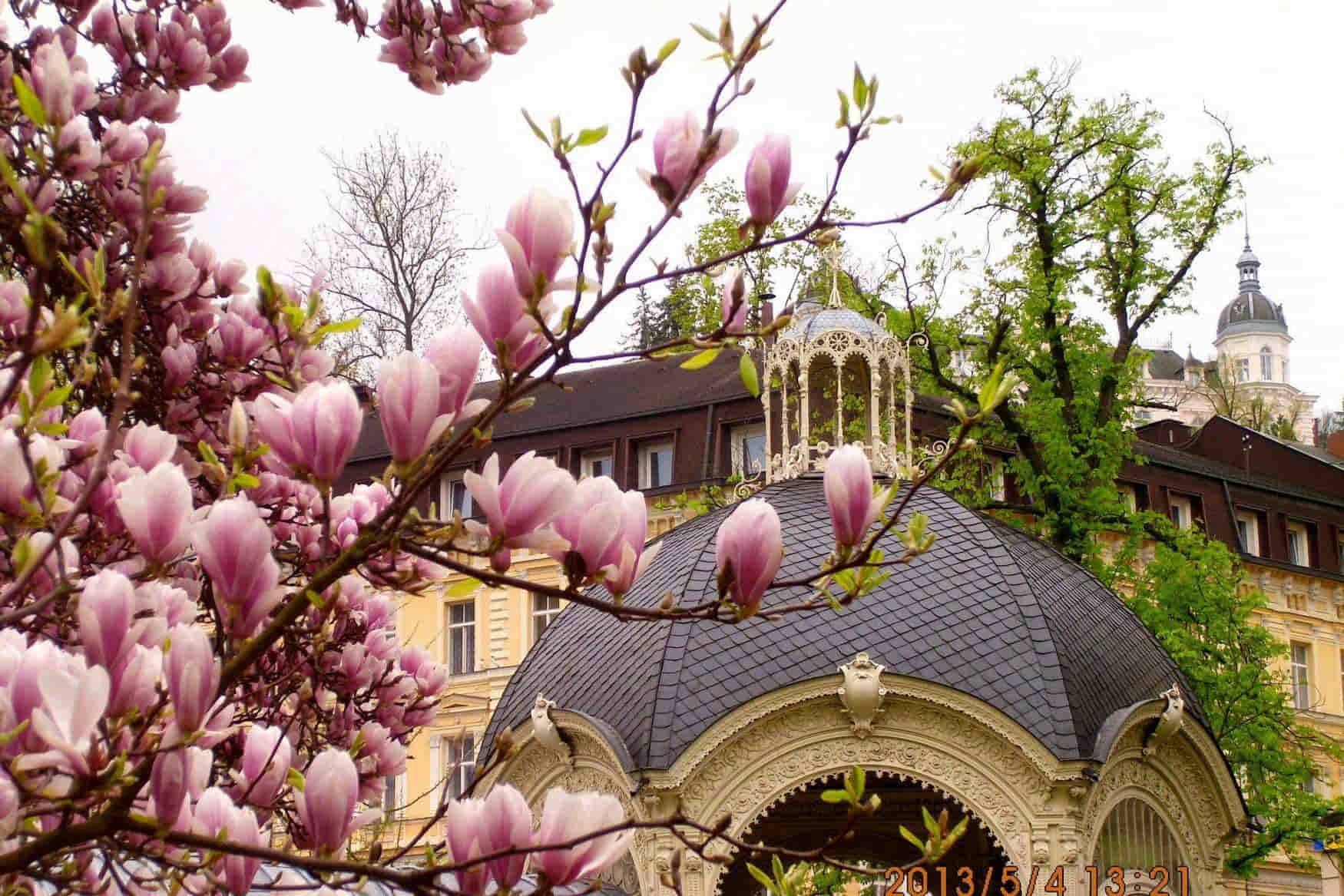 Obora Linhart photo 1