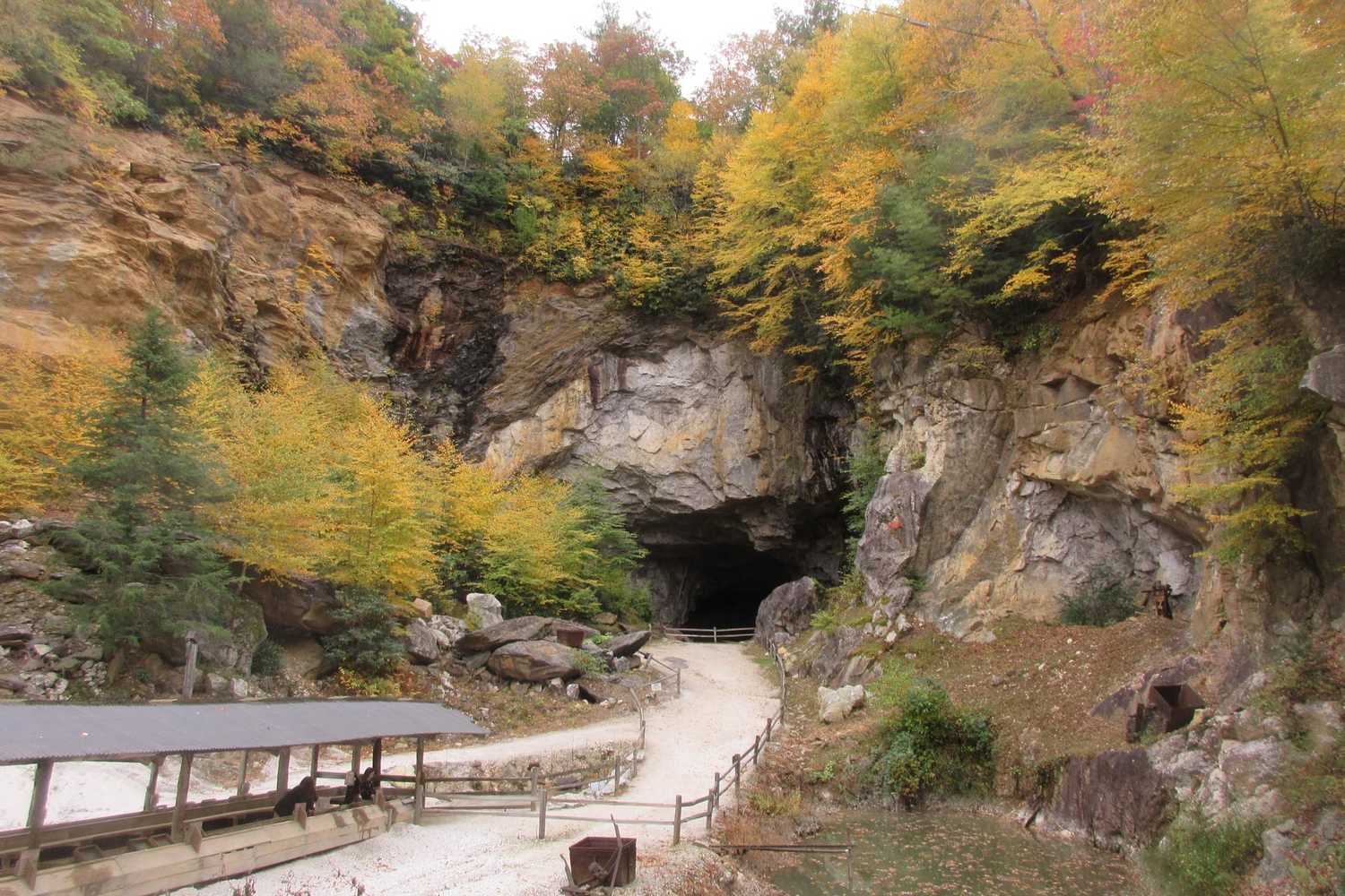 Emerald Village photo 1