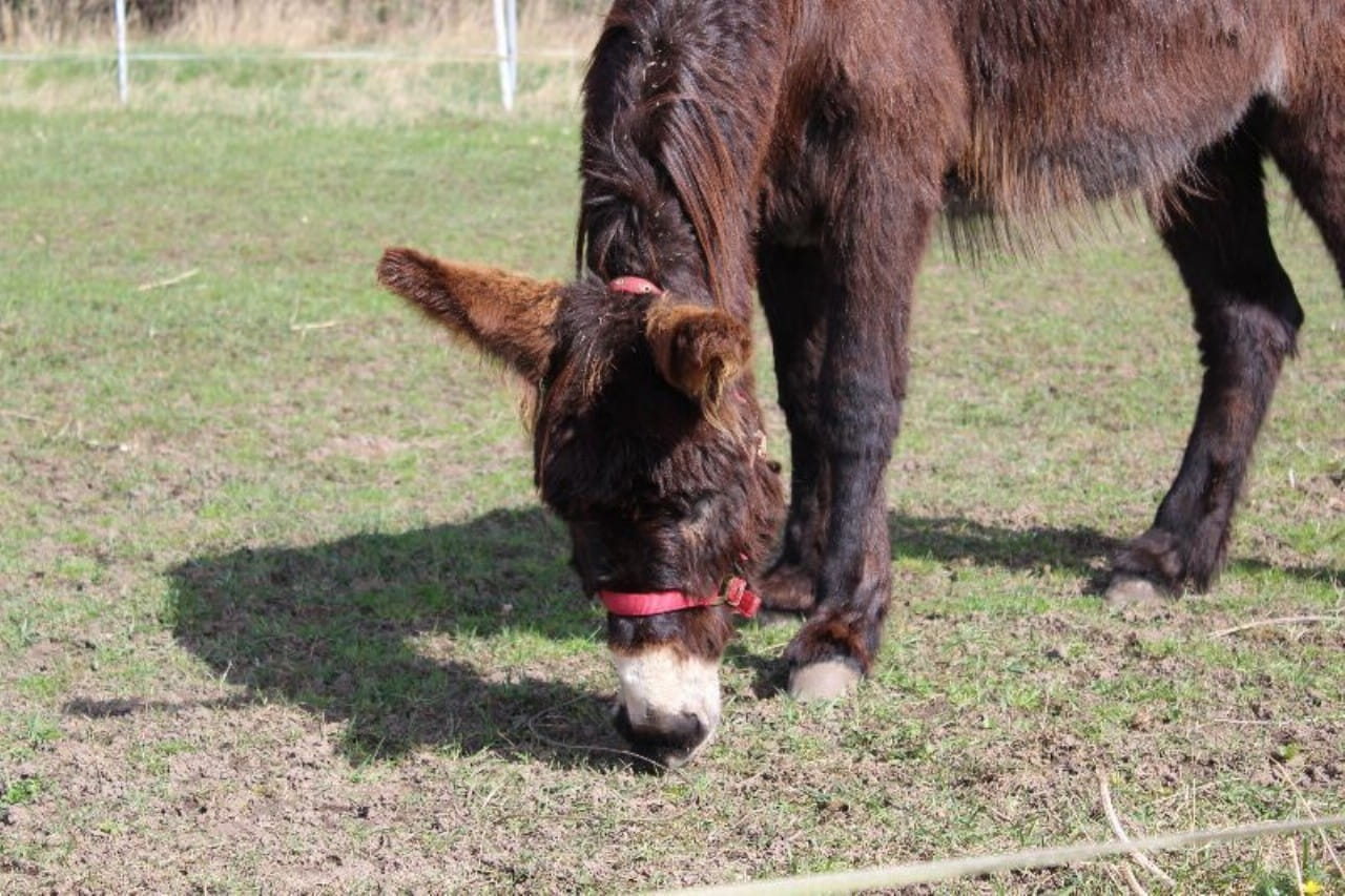 Oskarshausen photo 1