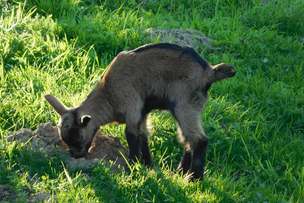Otakarova Farma photo 1