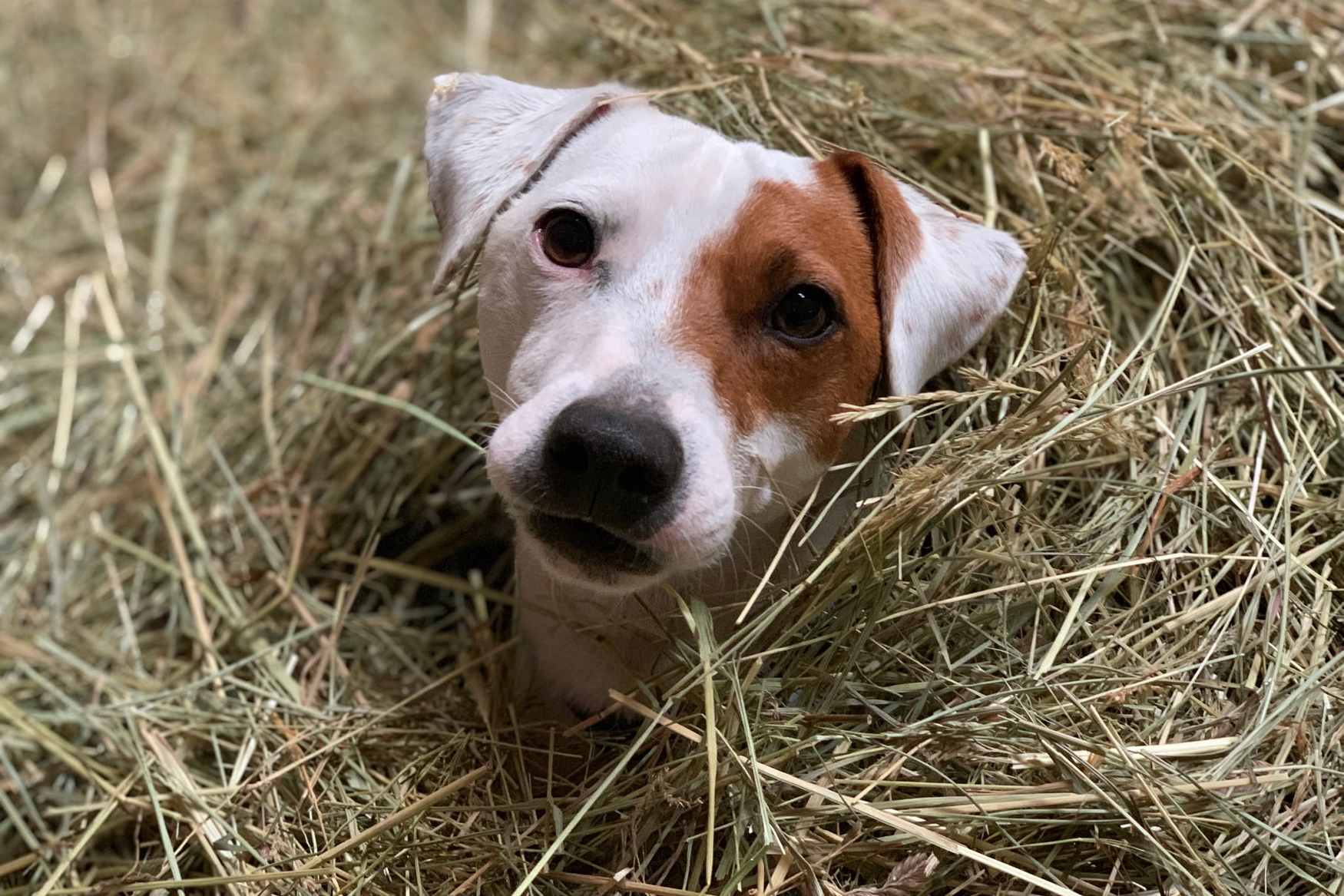 Otakarova Farma photo 1