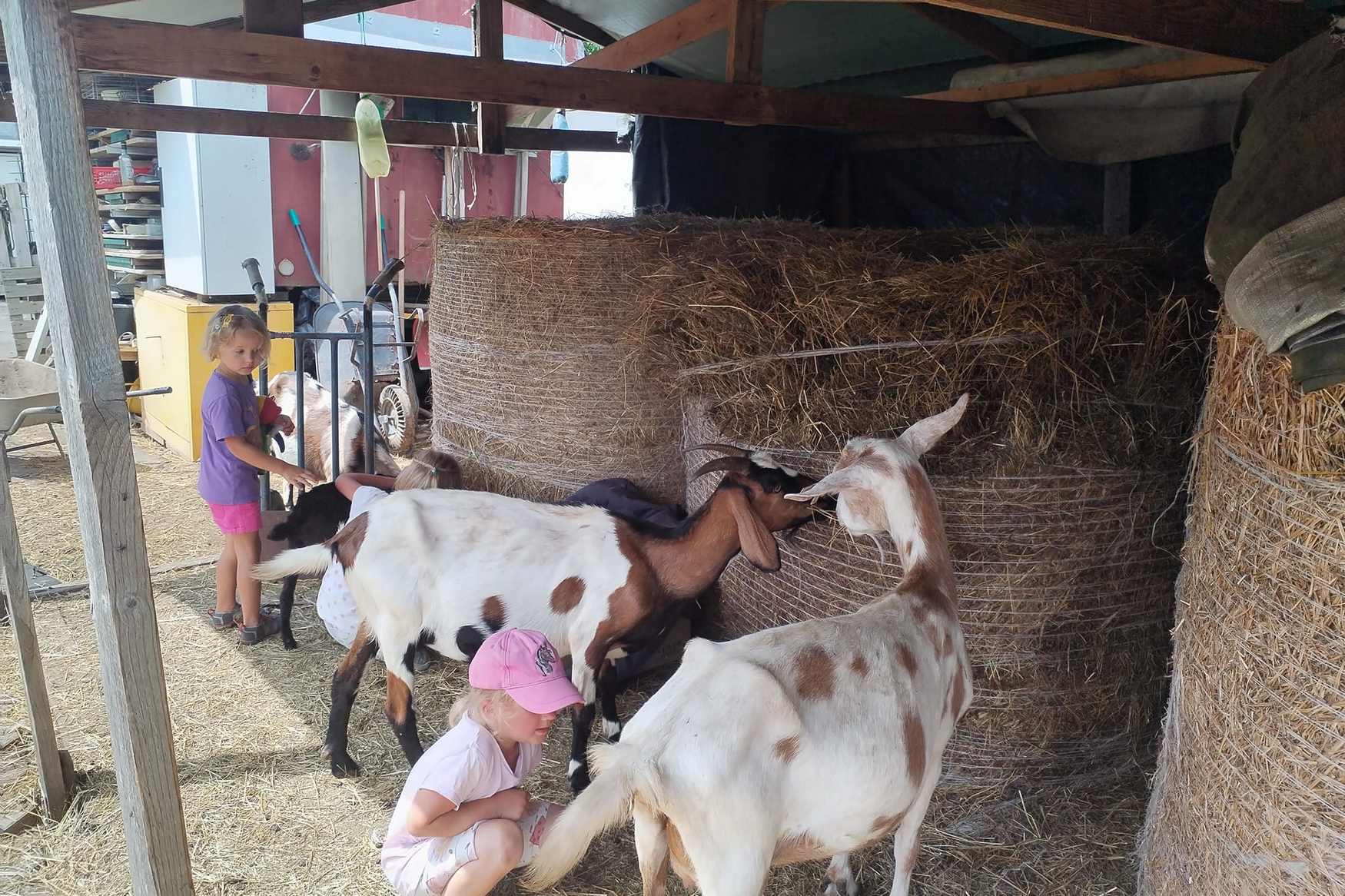 Zookoutek u Novacku photo 1