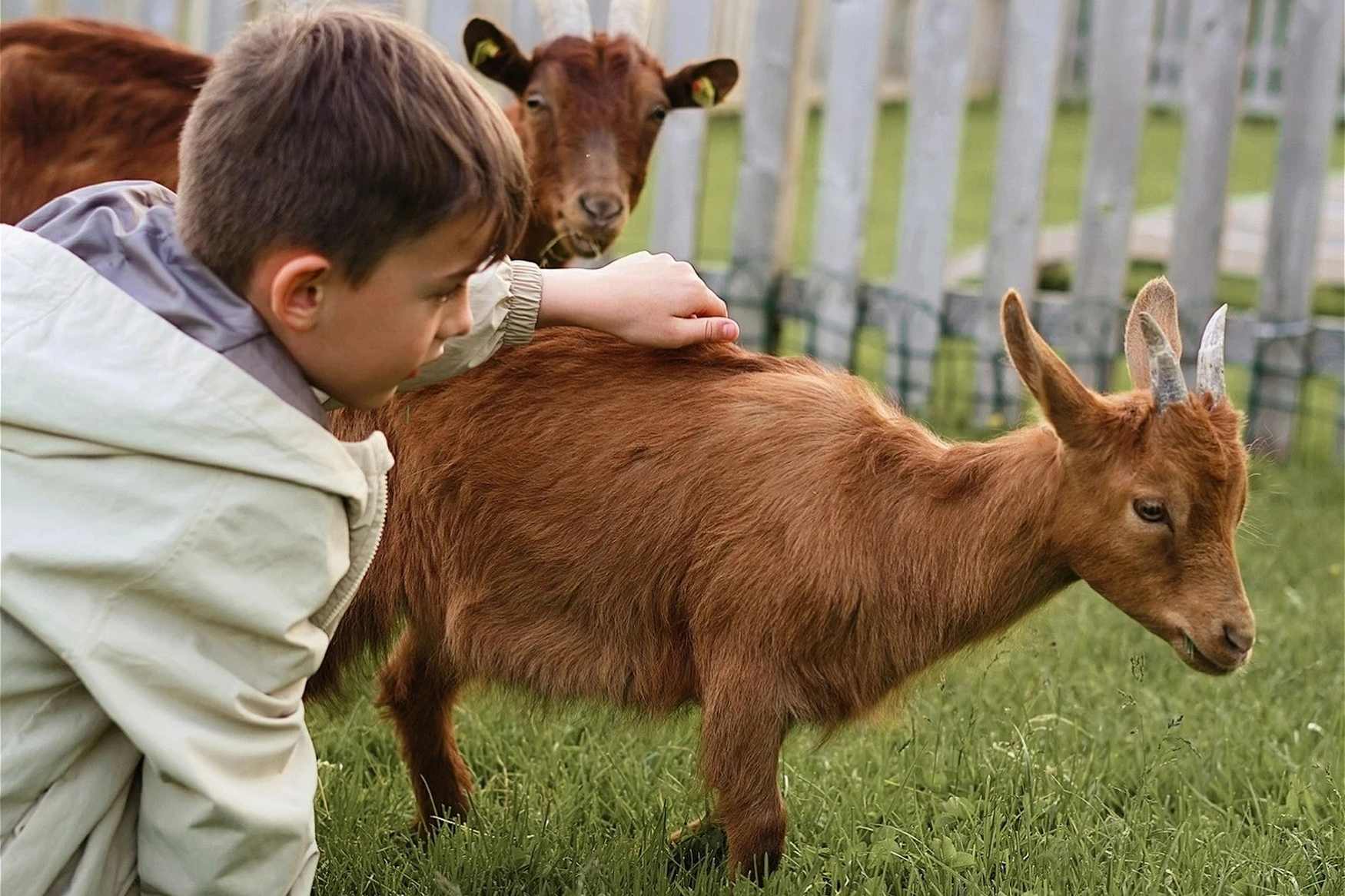 Feriengut Oberhabach Farm photo 1