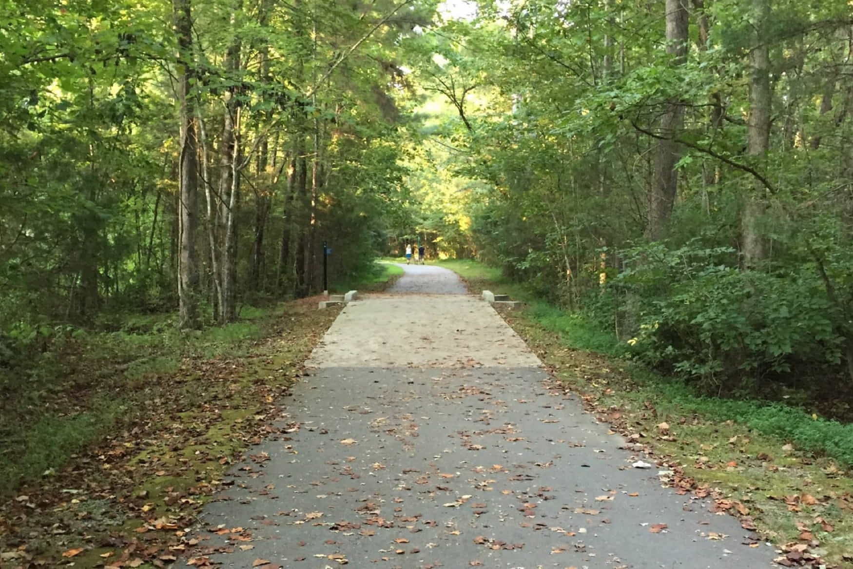 Four Mile Creek Greenway photo 1