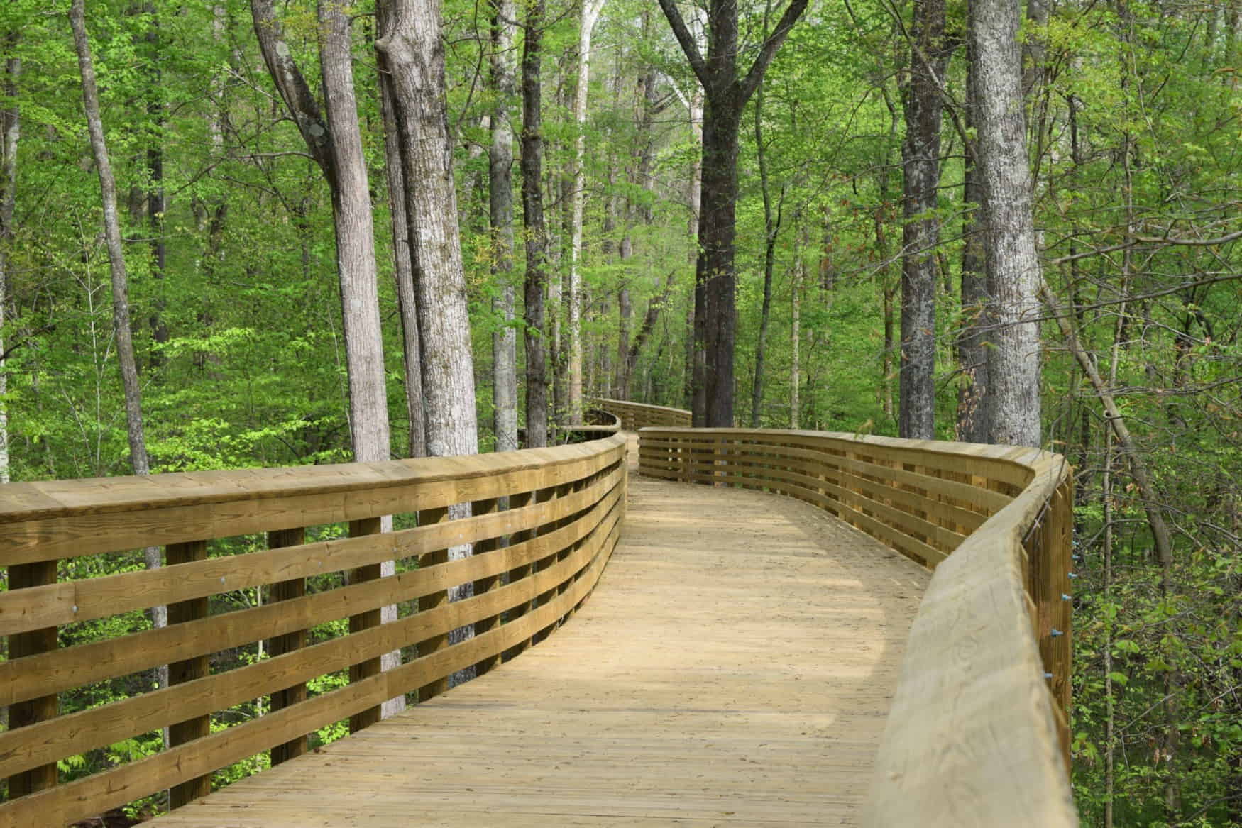 High Point City Lake Park photo 1