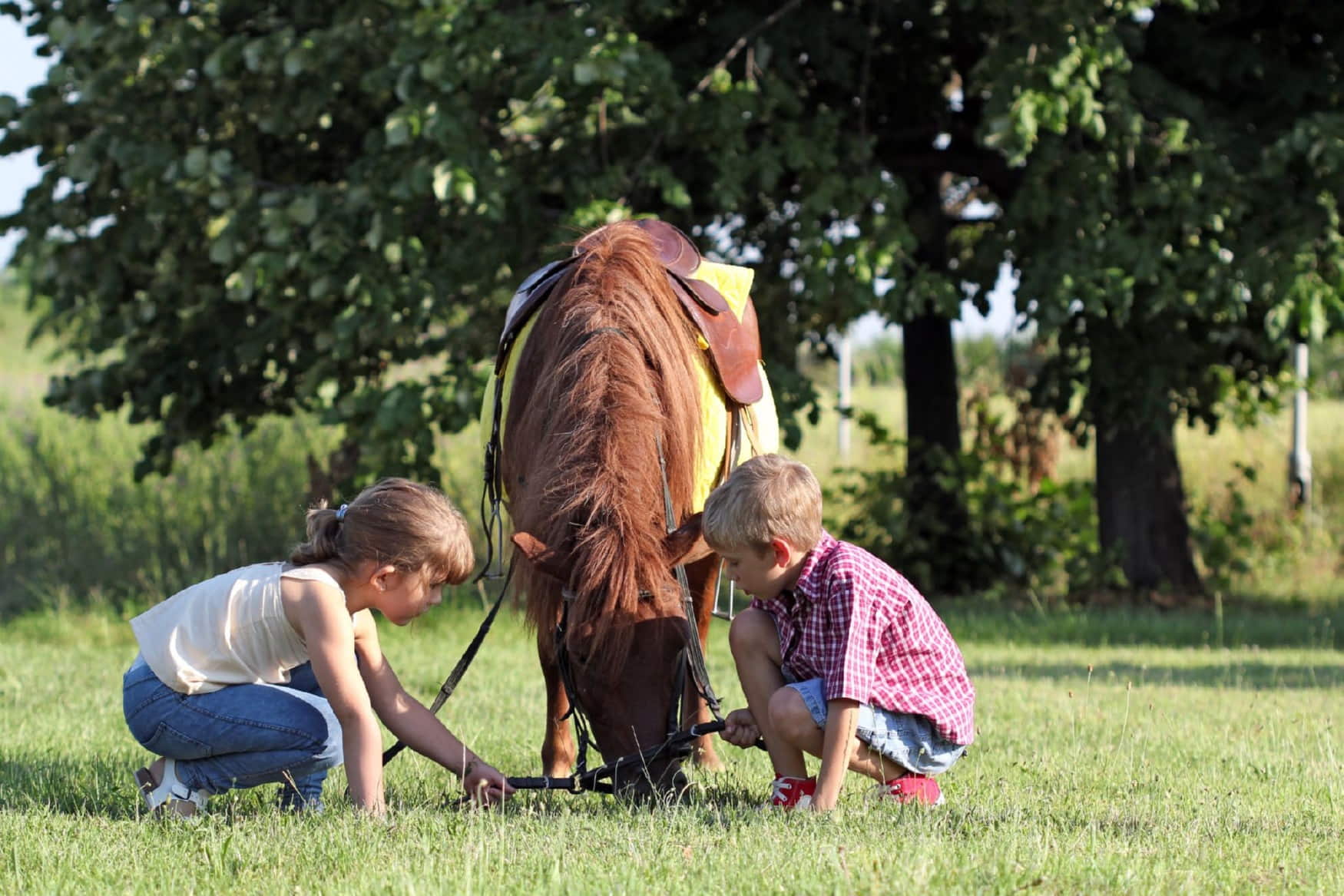 Granja Aventura Park photo 1