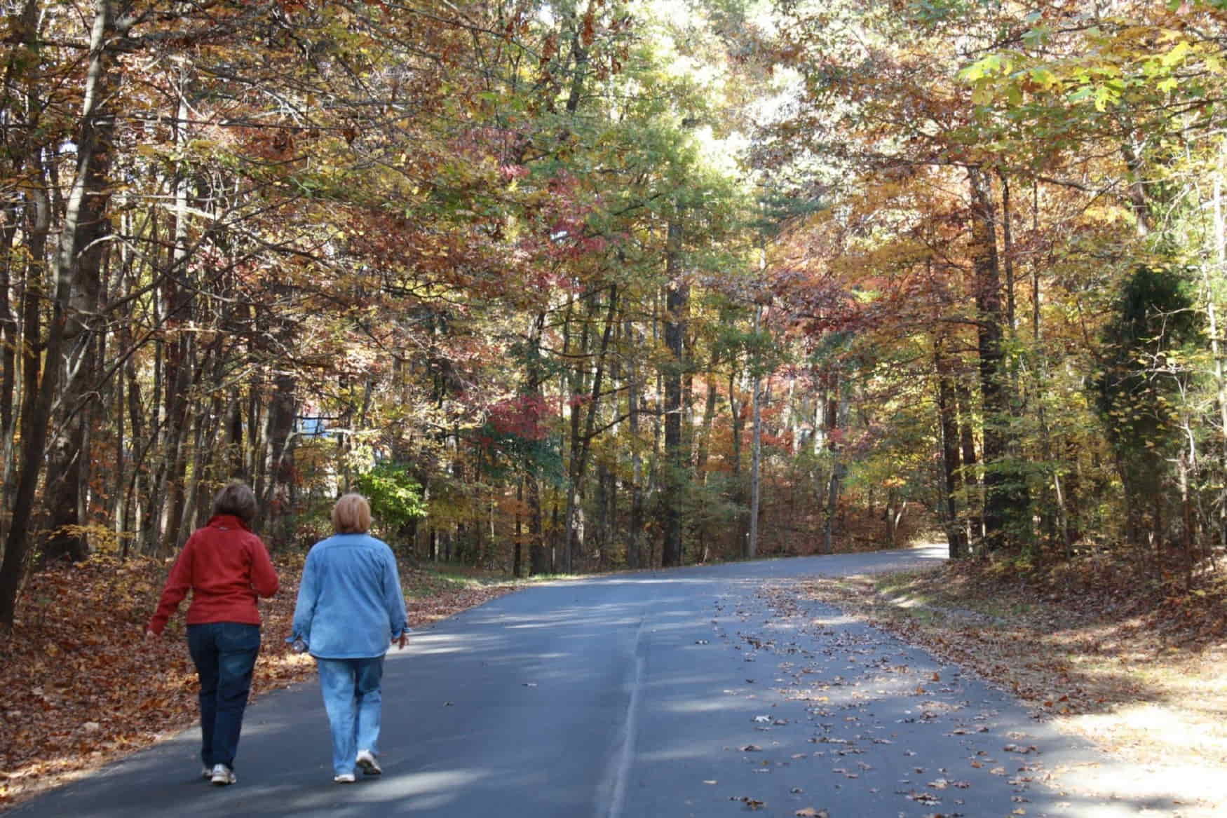 Guilford Courthouse National Military Park photo 1