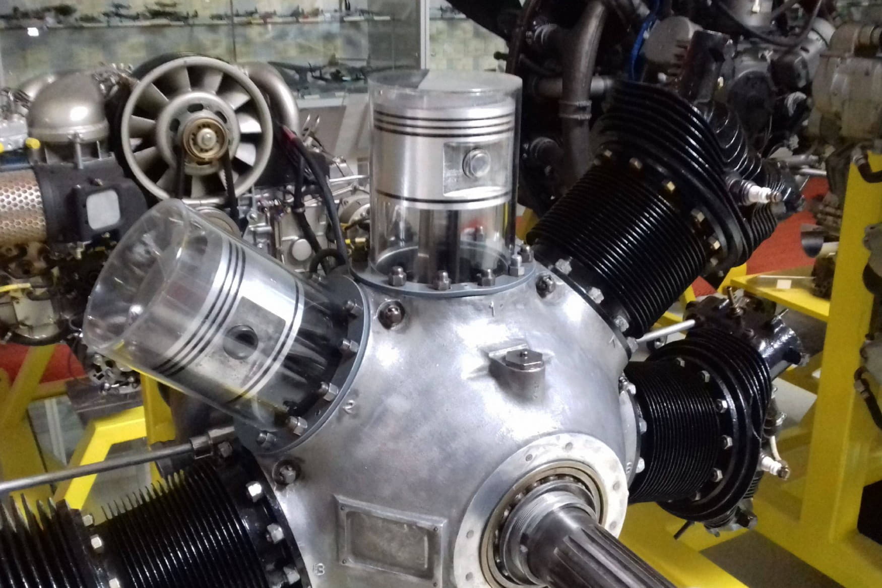 Wilhelm Busch Museum photo 1