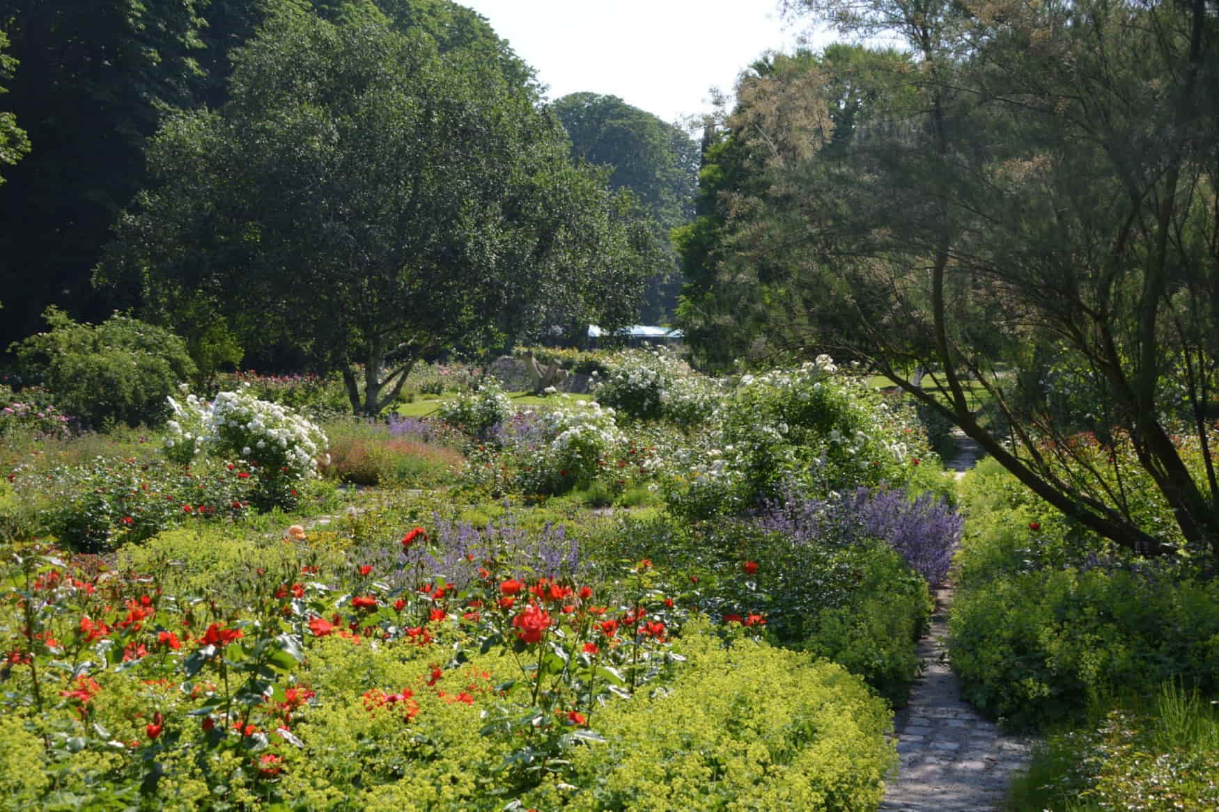 Herzogenried Park photo 1