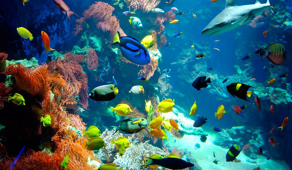 House of Nature photo 1