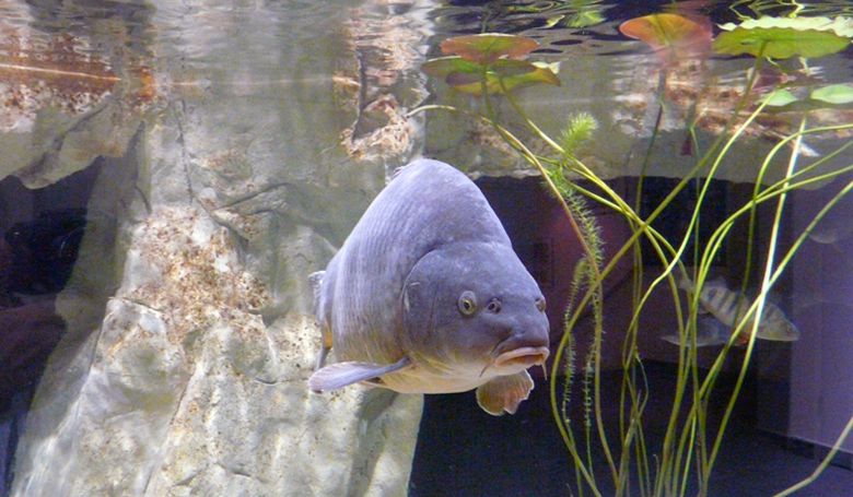 House of the Sea photo 1