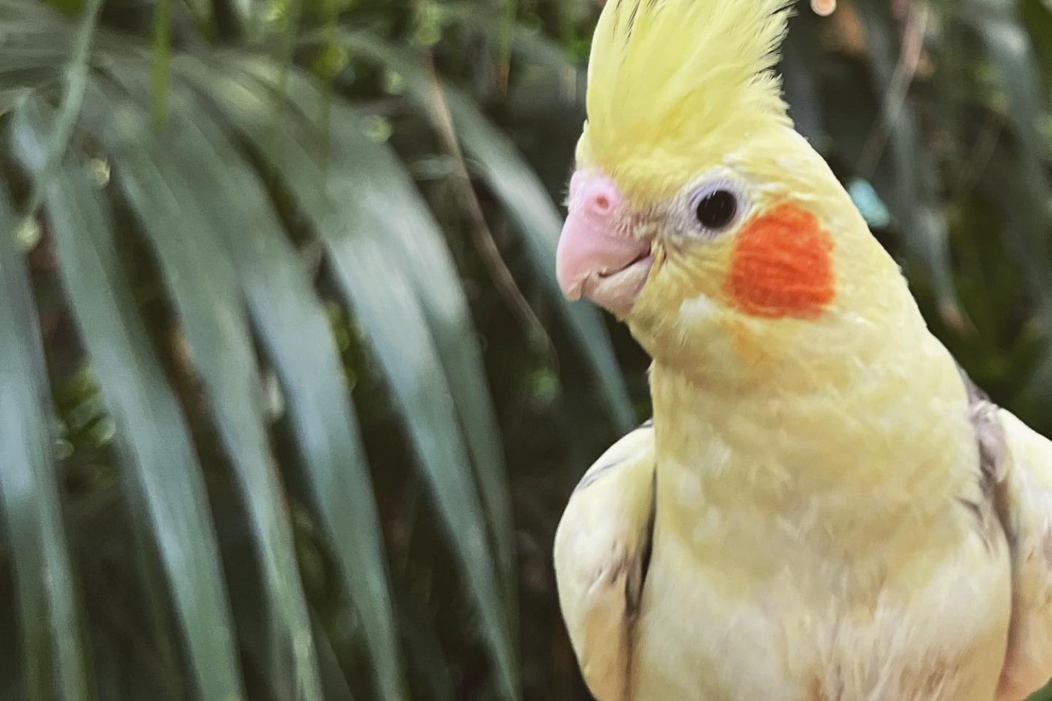 La Granja de los Cuentos photo 1