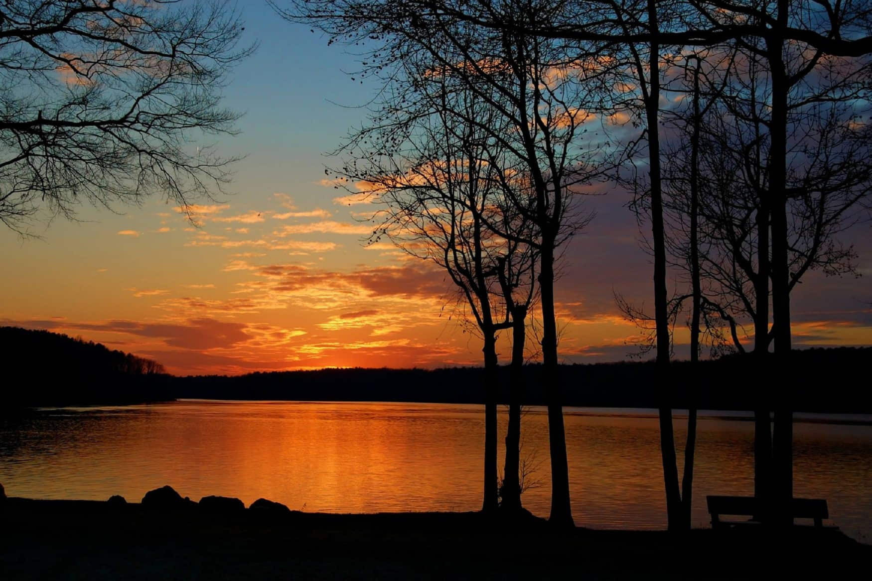 Lake Brandt Marina photo 1