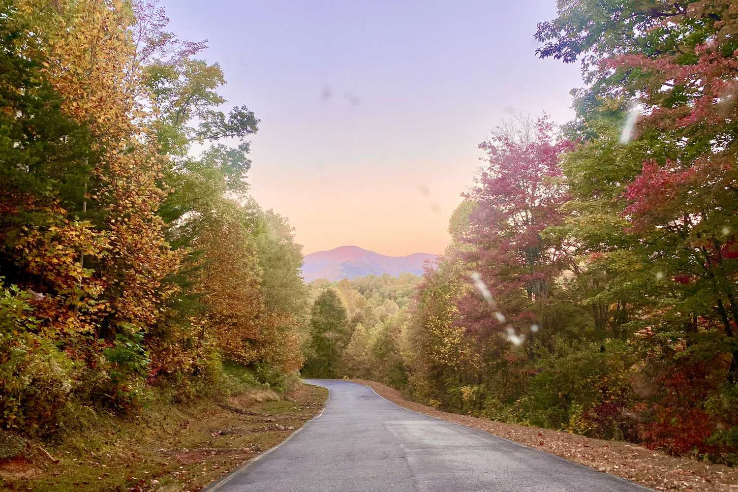 Lake Powhatan Recreation Area & Campground photo 1