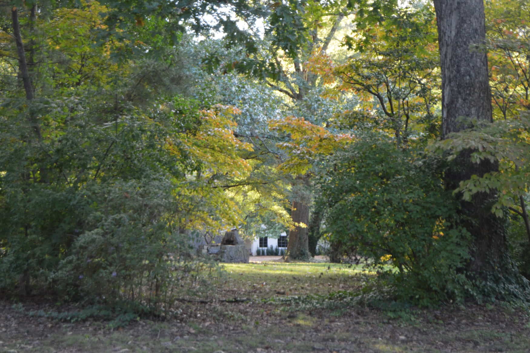 President James K. Polk State Historic Site photo 1
