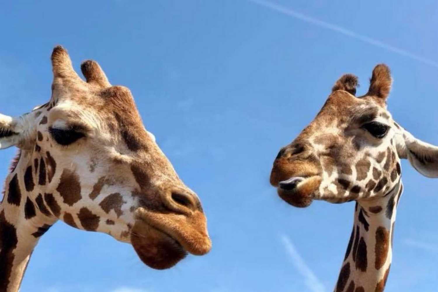 Zootastic Park photo 1