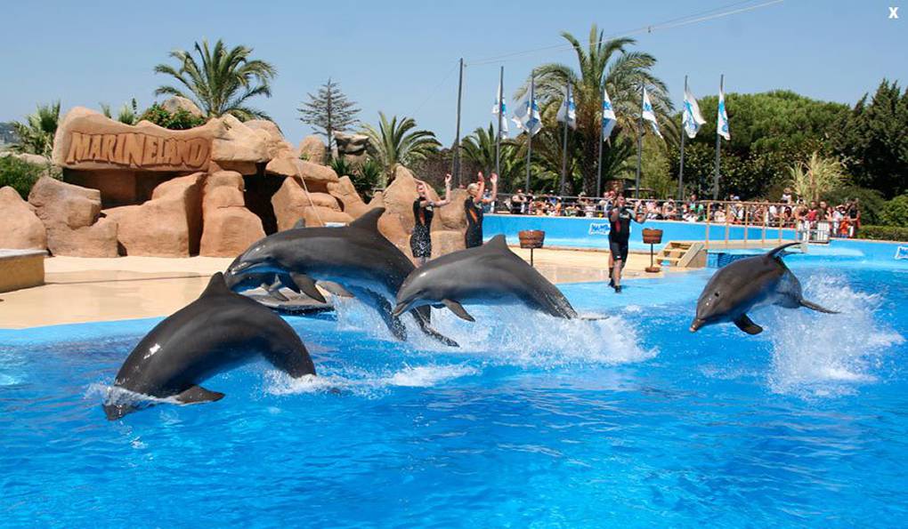 Marineland Aquapark photo 1