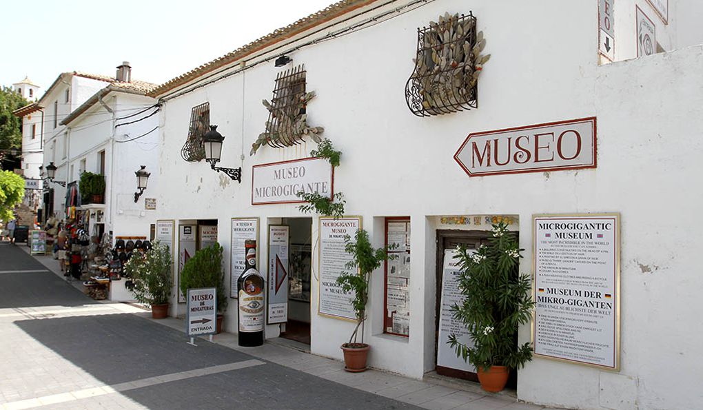 Micro-Gigantic Museum photo 1