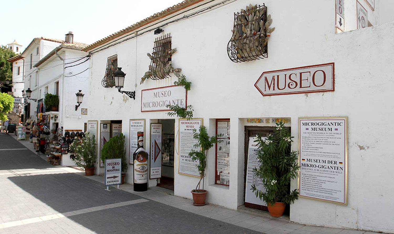 Micro-Gigantic Museum
