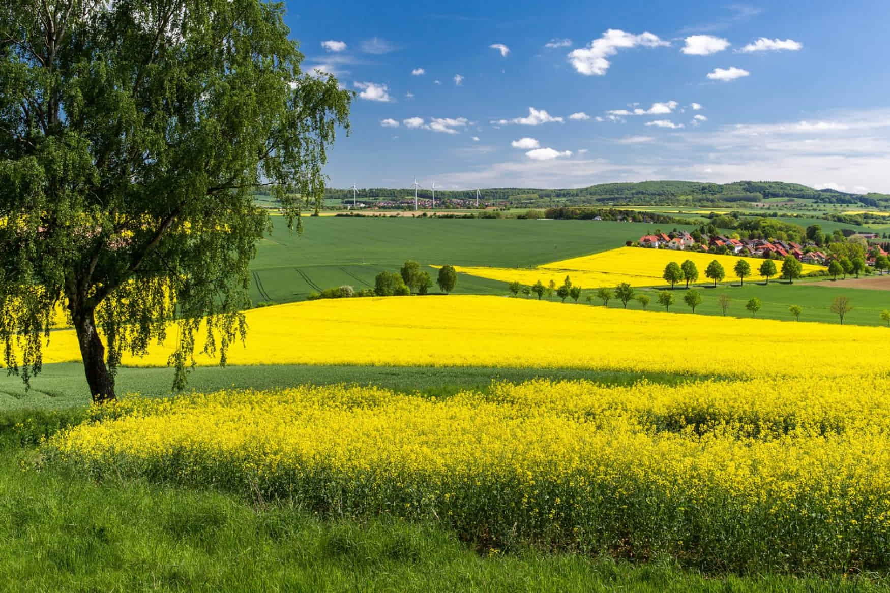 Wildpark Knull photo 1