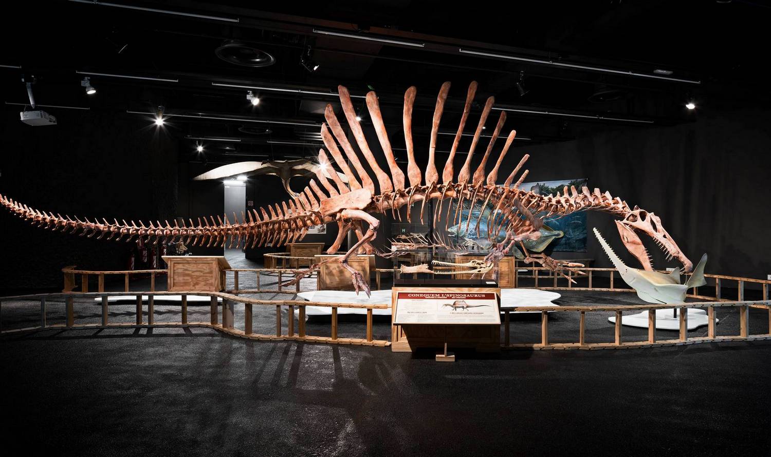 Museum of Natural Sciences of Barcelona Blau