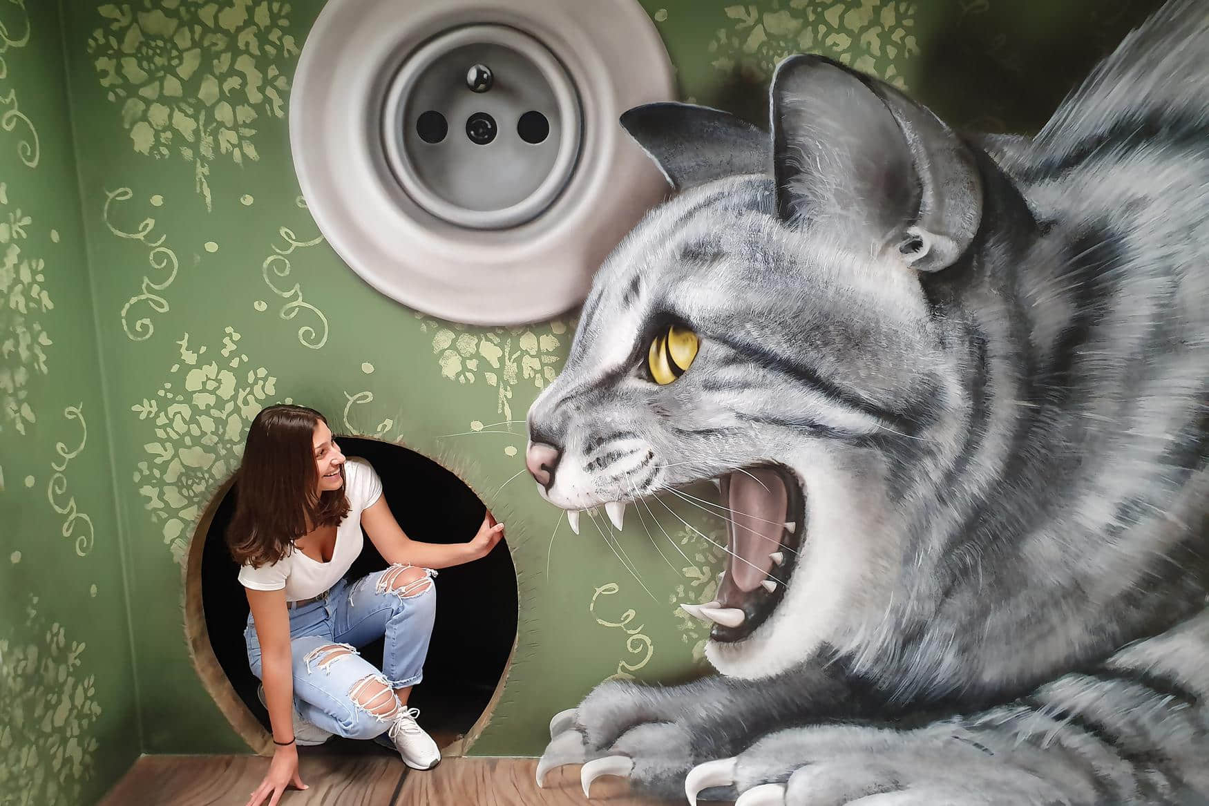 Museum of Fantastic Illusions photo 1