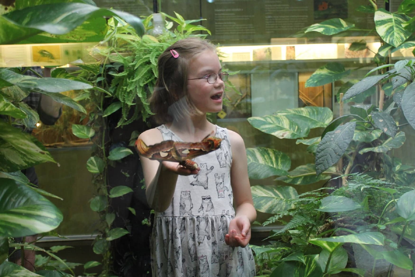 Museum of Natural History photo 1