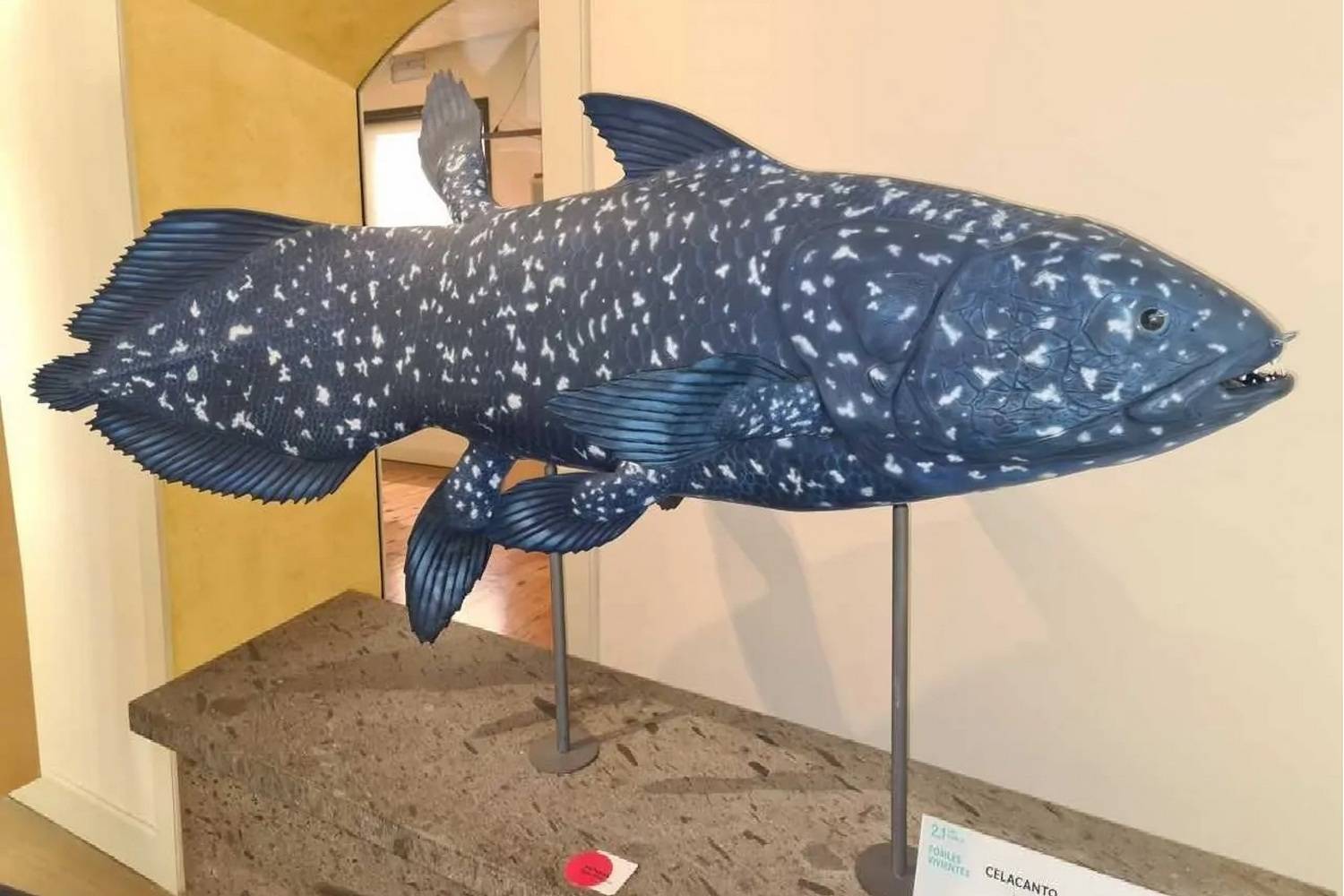 Museum of Nature and Archaeology 