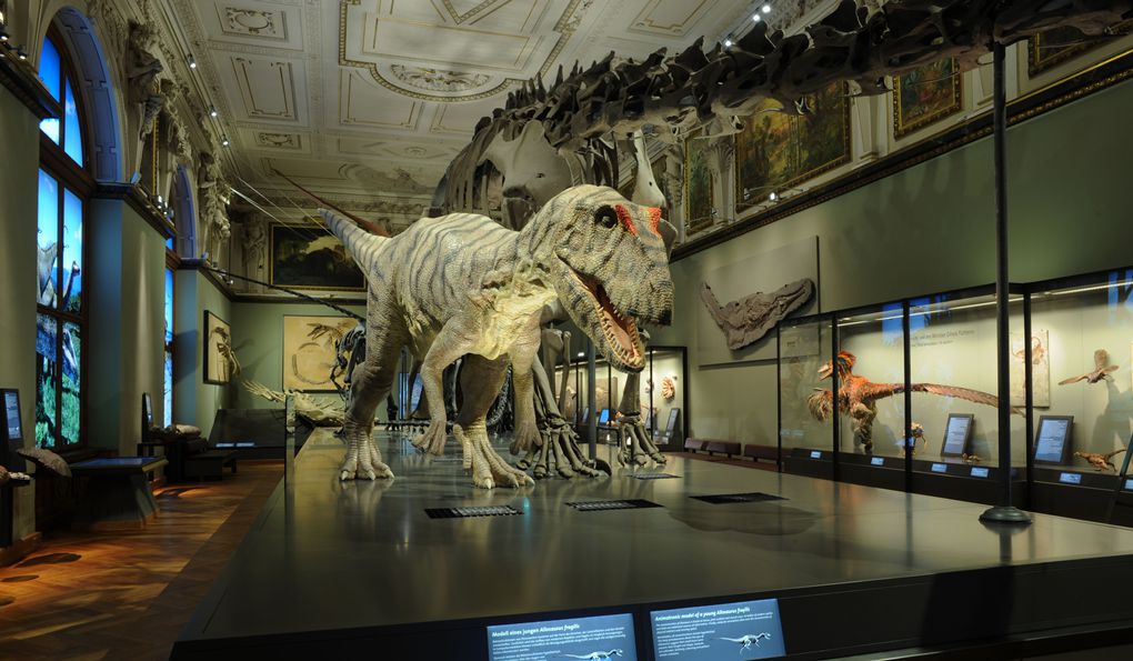 Natural History Museum Vienna