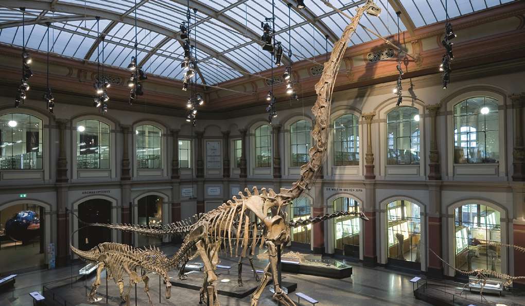 Natural History Museum photo 1