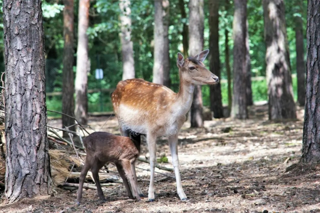 Nature and Environment House photo 1