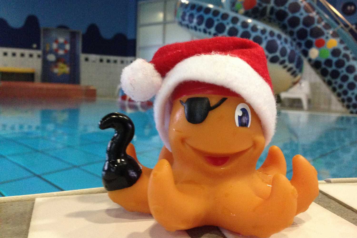 NEMO pool, sauna and fitness world photo 1