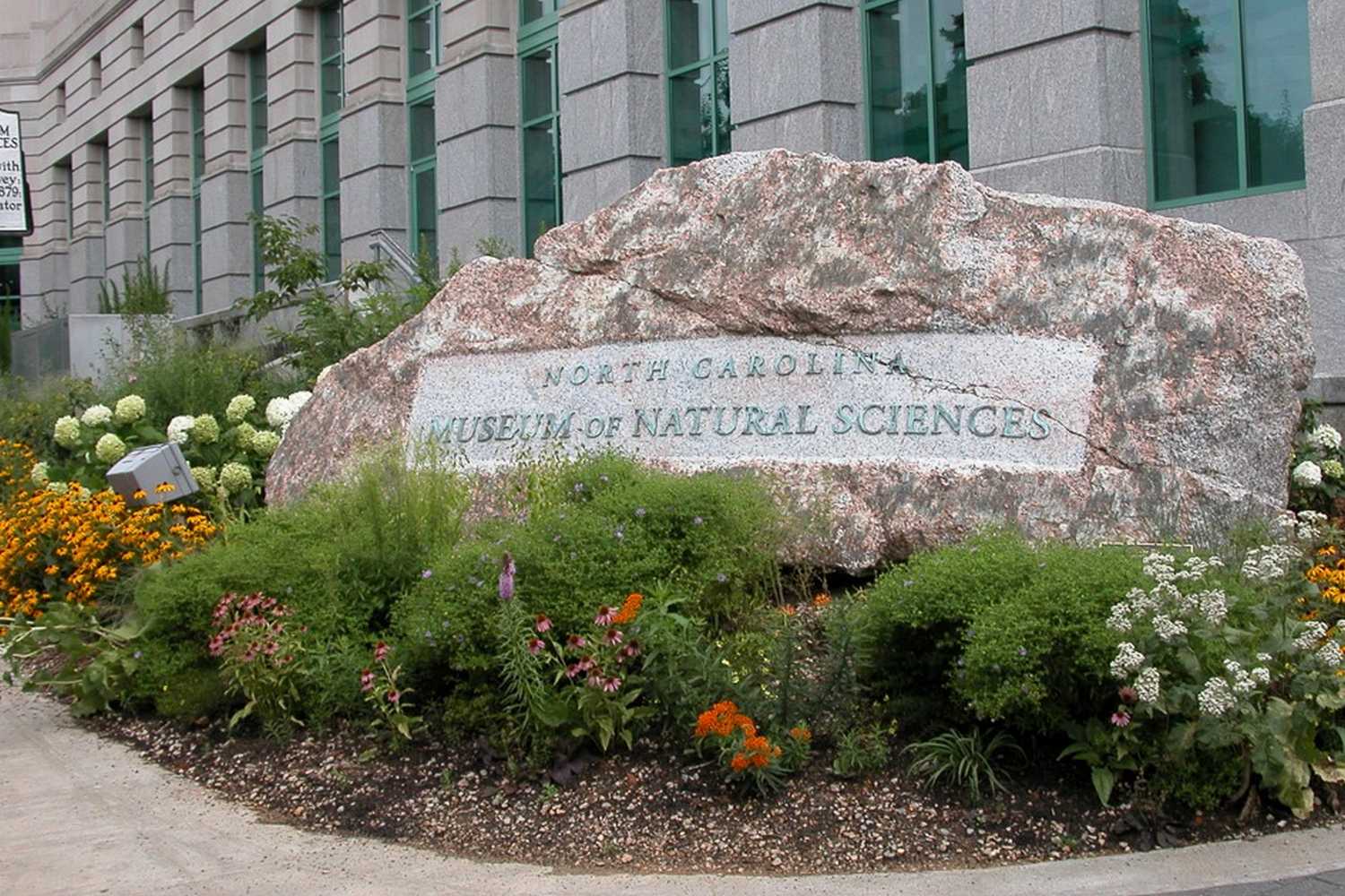 North Carolina Museum of Natural Sciences photo 1