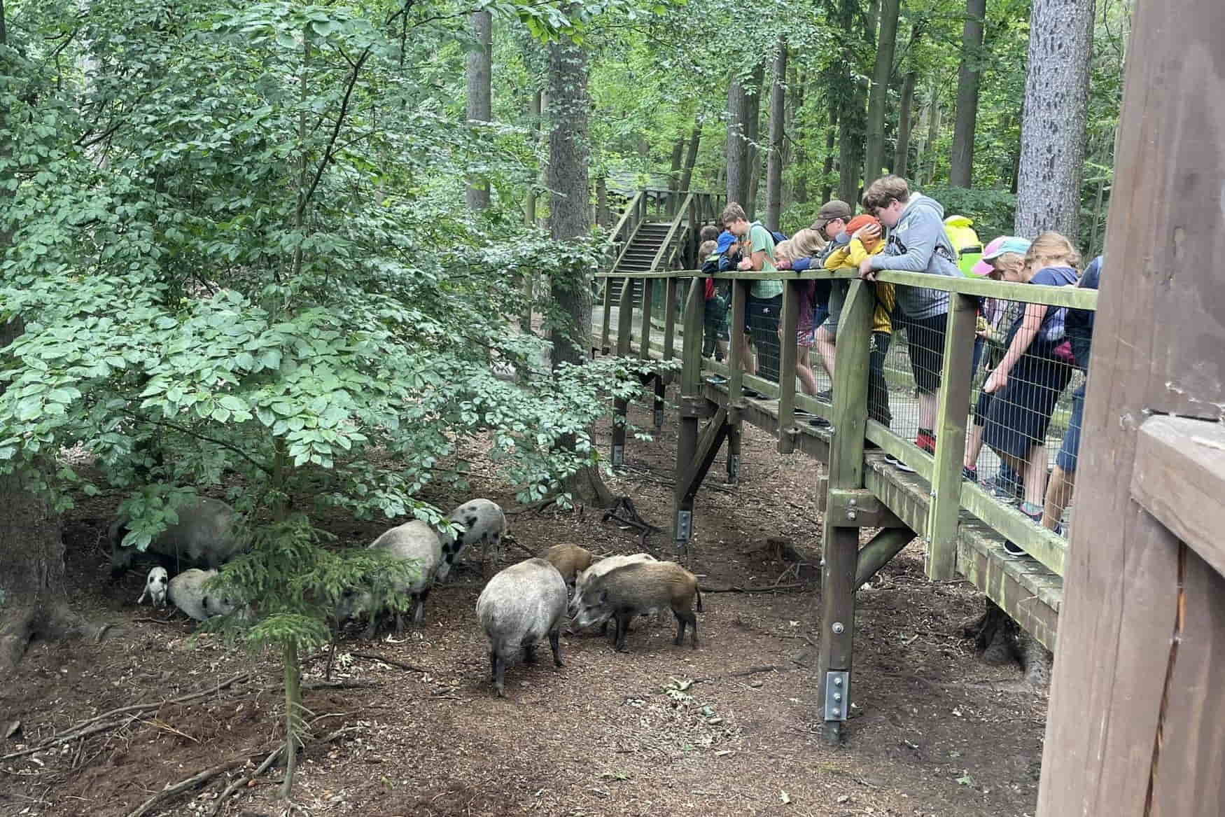 Obora Linhart photo 1