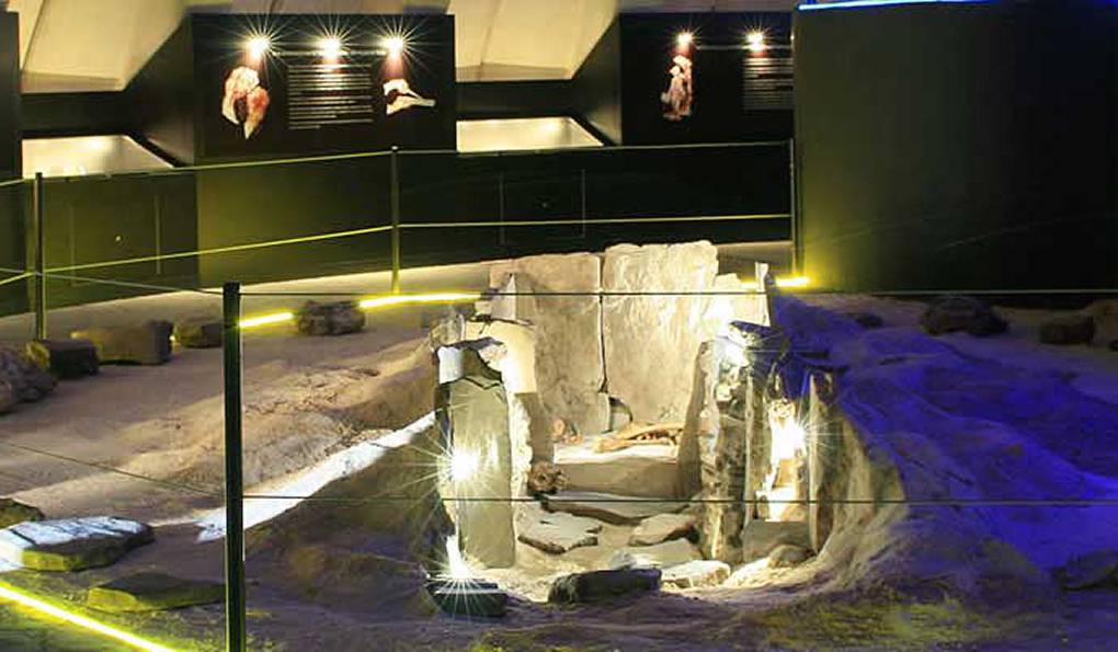 Paleontological Museum of Estepona photo 1