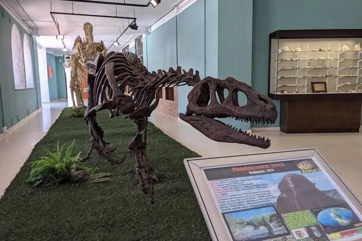 Paleontological Museum of Estepona