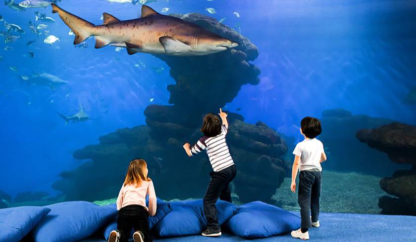 Palma Aquarium photo 1