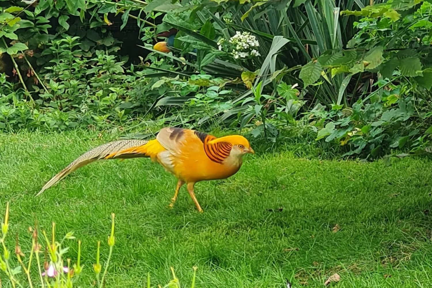 Solingen Bird and Animal park photo 1